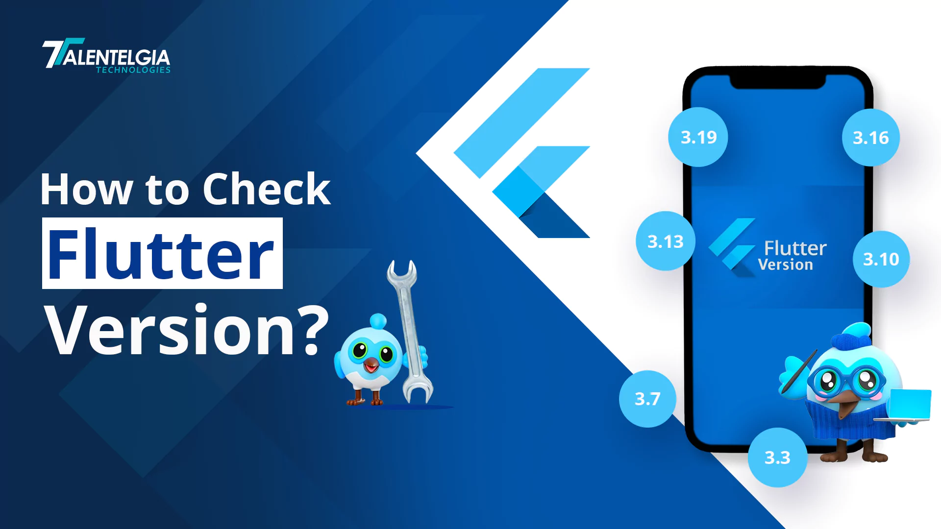 How to Check Flutter Version