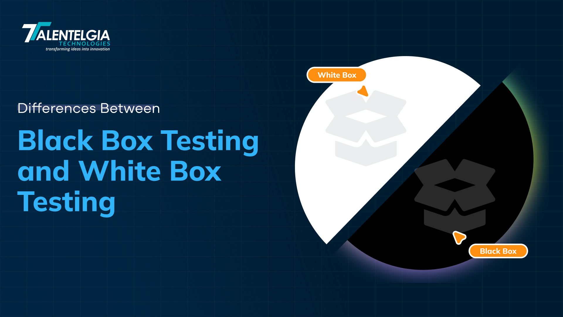 Differences Between Black Box Testing and White Box Testing