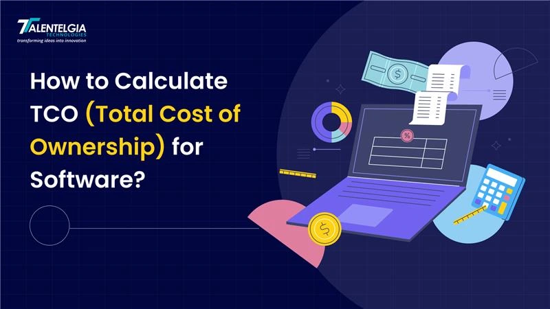 How to Calculate Total Cost of Ownership for software
