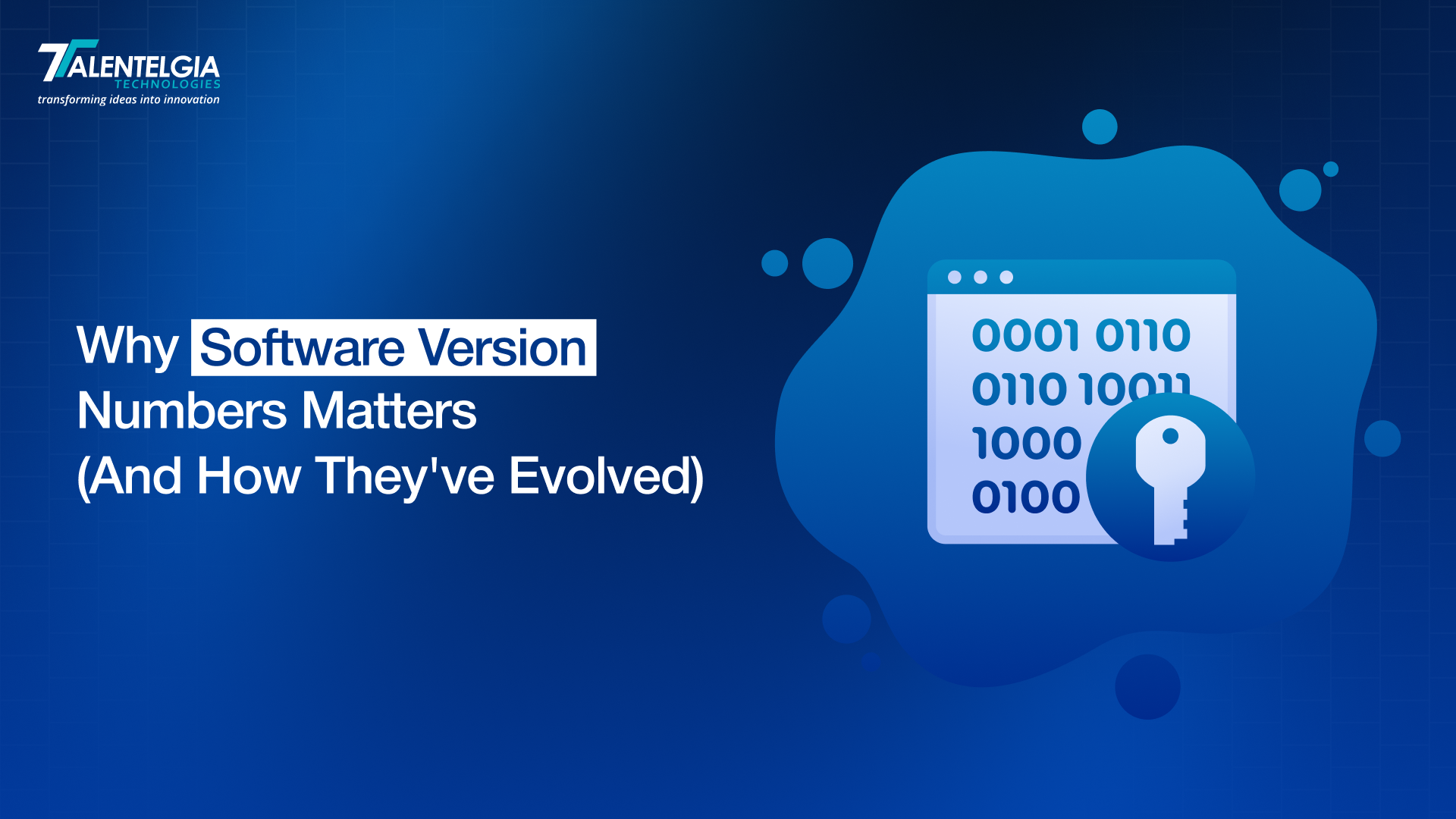 Why Software Version Number Matters