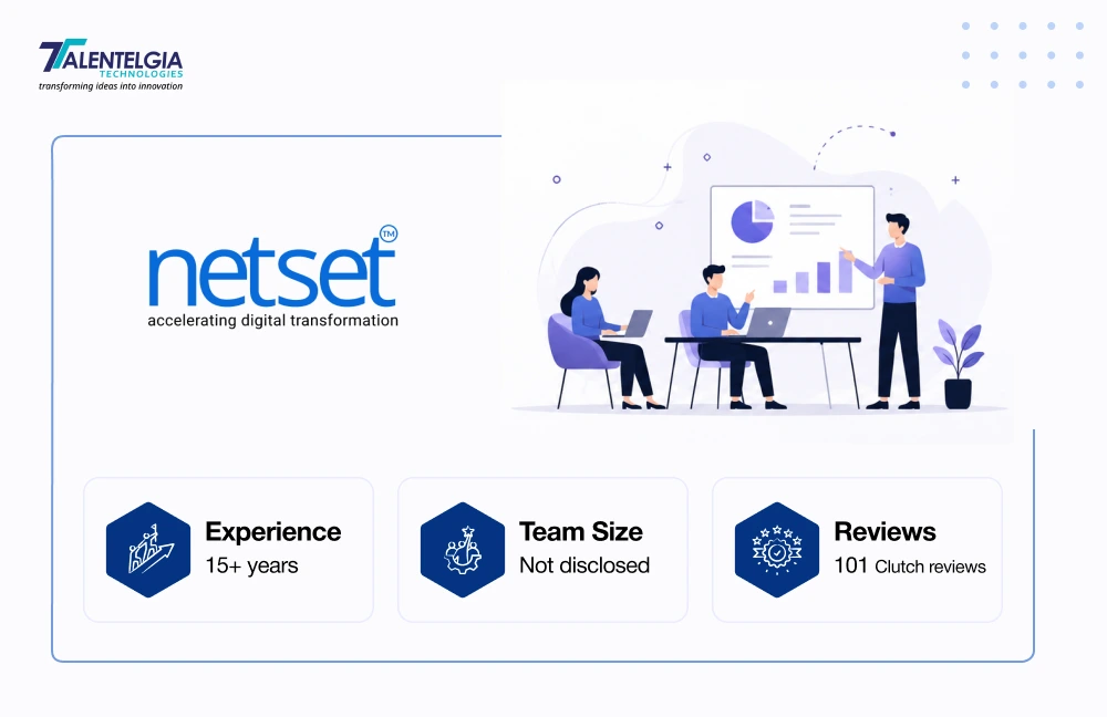 NetSet Software